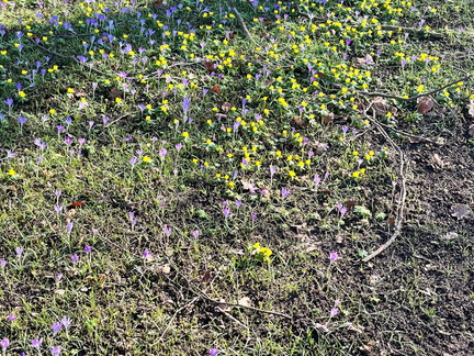 23-02-13 13-02-52 4195